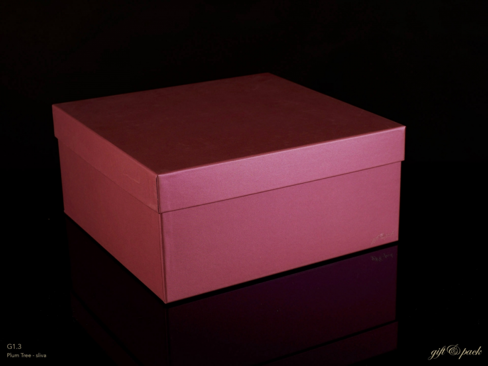 Darilna škatla G1.3 R300X300X140mm SLIVA