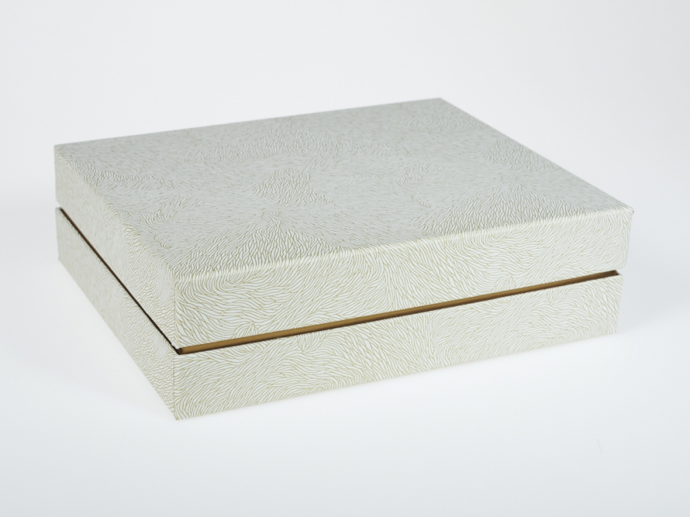 Darilna škatla G2.1 RS250X200X70mm BELA ICMA