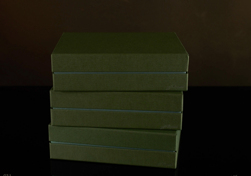 Darilna škatla G2.1 RS250X200X70mm ZELENA