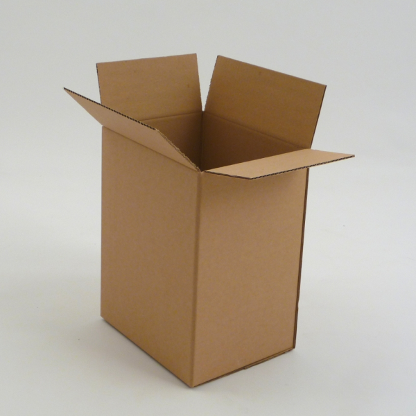 Kartonska škatla P2.1 230x160x320mm 