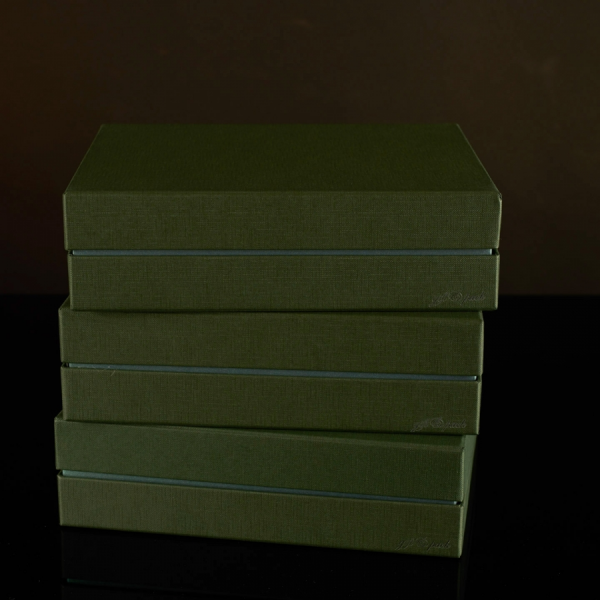 Darilna škatla G2.1 RS250X200X70mm ZELENA