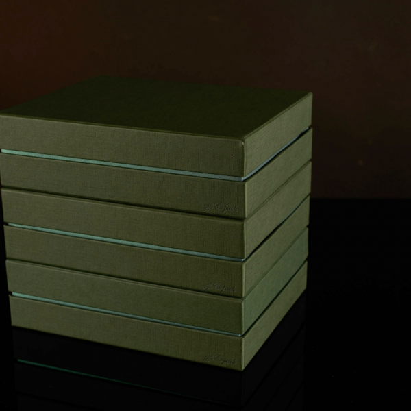 Darilna škatla G2.1 RS250X200X70mm ZELENA